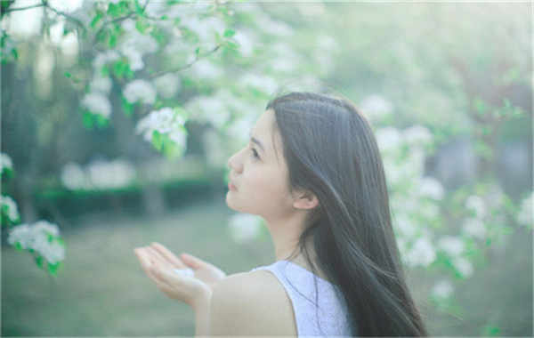 洛南验血查男女几周可以验(验血查男女结果图)